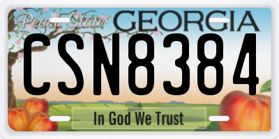 GA license plate CSN8384