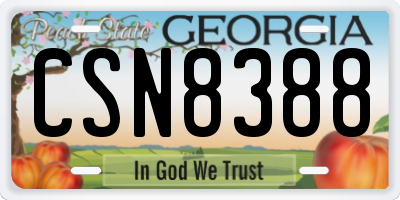 GA license plate CSN8388