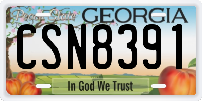GA license plate CSN8391