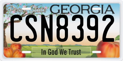 GA license plate CSN8392