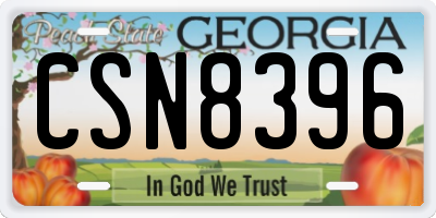 GA license plate CSN8396