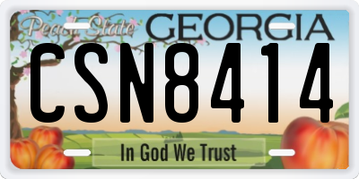 GA license plate CSN8414