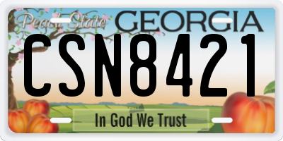 GA license plate CSN8421