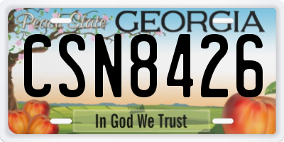 GA license plate CSN8426