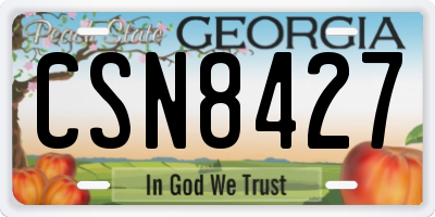 GA license plate CSN8427