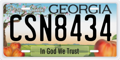 GA license plate CSN8434