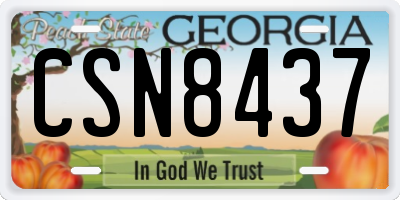 GA license plate CSN8437
