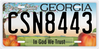 GA license plate CSN8443