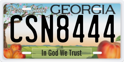 GA license plate CSN8444