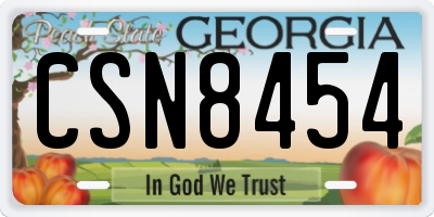 GA license plate CSN8454