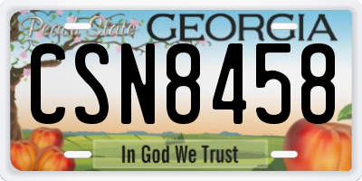 GA license plate CSN8458