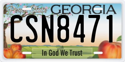 GA license plate CSN8471