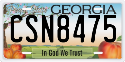 GA license plate CSN8475