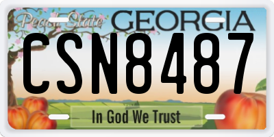 GA license plate CSN8487