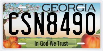 GA license plate CSN8490