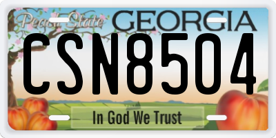 GA license plate CSN8504