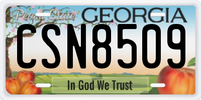 GA license plate CSN8509