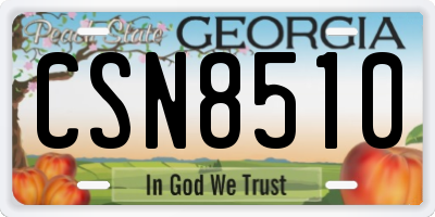 GA license plate CSN8510
