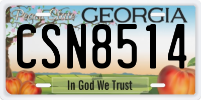 GA license plate CSN8514