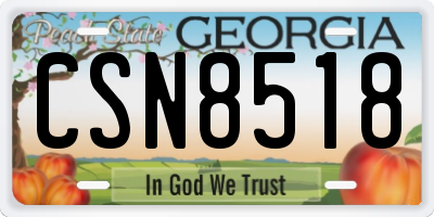 GA license plate CSN8518