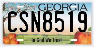 GA license plate CSN8519