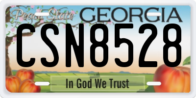 GA license plate CSN8528