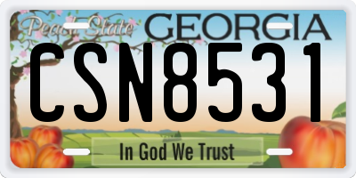 GA license plate CSN8531