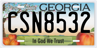 GA license plate CSN8532