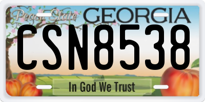 GA license plate CSN8538