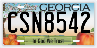 GA license plate CSN8542
