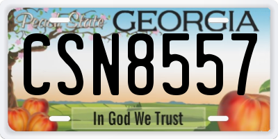 GA license plate CSN8557
