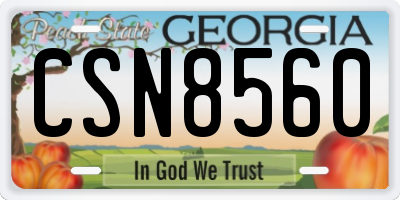GA license plate CSN8560