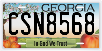 GA license plate CSN8568