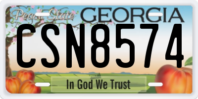 GA license plate CSN8574