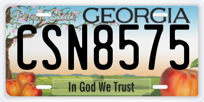 GA license plate CSN8575