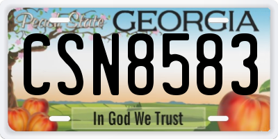 GA license plate CSN8583