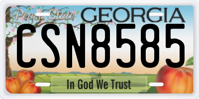 GA license plate CSN8585