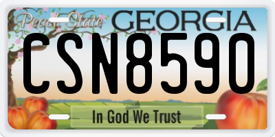 GA license plate CSN8590