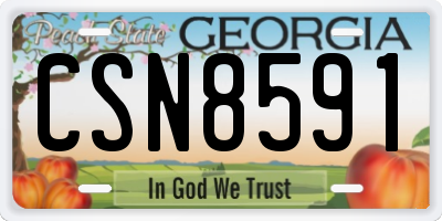 GA license plate CSN8591