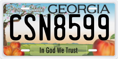 GA license plate CSN8599