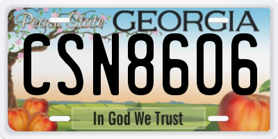 GA license plate CSN8606