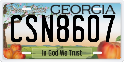 GA license plate CSN8607