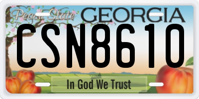 GA license plate CSN8610