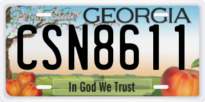 GA license plate CSN8611