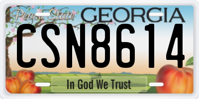 GA license plate CSN8614