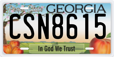 GA license plate CSN8615