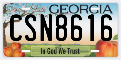 GA license plate CSN8616