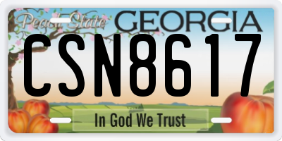 GA license plate CSN8617