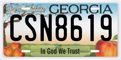 GA license plate CSN8619