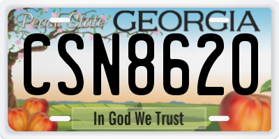 GA license plate CSN8620